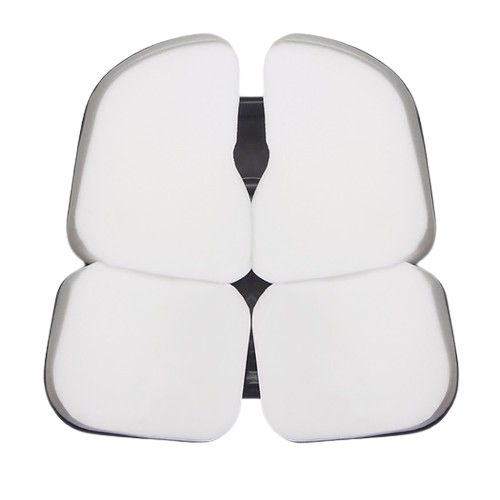 Version Coccyx